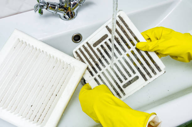 Best Ventilation Cleaning Services  in Montrose, MI